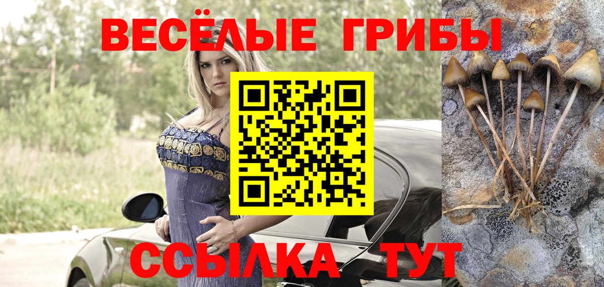 Галлюциногенные грибы мицелий  Вход с VPN  Зеленокумск  Галлюциногенные грибы мухоморы 